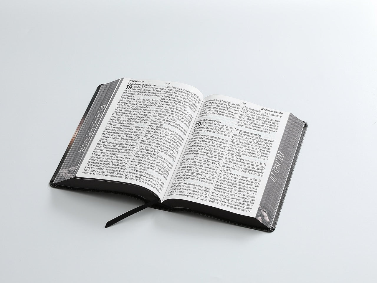 Biblia RVR60 Letra Súper Gigante León de juda
